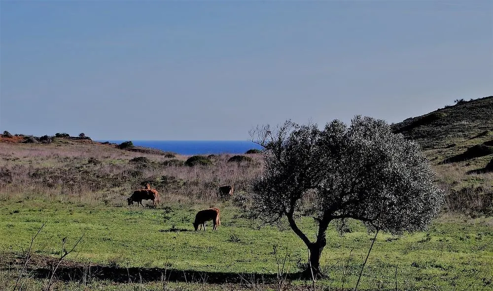 Praia Do Burgau